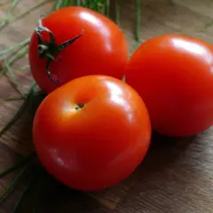 Trzy soczyste pomidory krakowskie na drewnianej desce, otoczone zielonymi szczypiorkami.