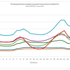 Wykres pokazuje średnie godzinowe ceny energii elektrycznej w zł/MWh dla lat 2019-2025. Ceny wahają się od ok. 200 do ponad 1100 zł/MWh.