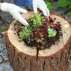 Drewniany kwietnik DIY: Kompletny poradnik krok po kroku