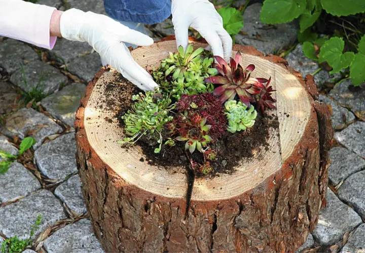 Drewniany kwietnik DIY: Kompletny poradnik krok po kroku